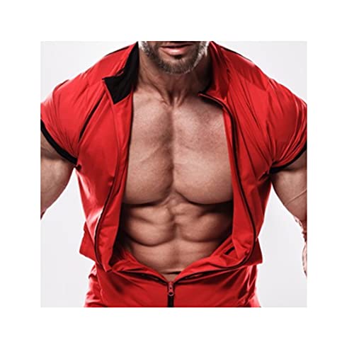 Silicone Muscle Fake Muscle Costume, Real-Touch Male Bust Suit, Costum –  ToysCentral - Europe