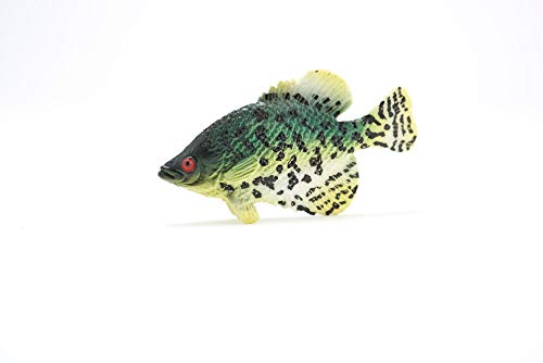 Toy Fish Factory American Angler Collection Toy Fish Set Largemouth Bass Crappie Bluegill Catfish