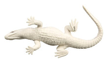 Load image into Gallery viewer, Safari Ltd  Wild Safari Wildlife White Alligator
