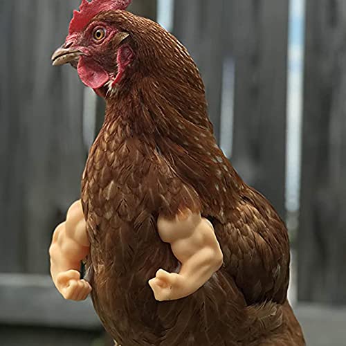 ArmedPet Strong Chicken arms USA Meme Muscle arms 3D Algeria