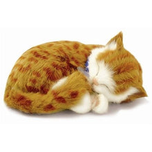 Load image into Gallery viewer, Original Petzzz Orange Tabby, Realistic, Lifelike Stuffed Interactive Pet Toy, Companion Pet Cat Wit
