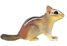 Load image into Gallery viewer, Safari Ltd Incredible Creatures Eastern Chipmunk Baby
