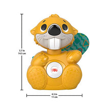 Load image into Gallery viewer, Fisher-Price GXD84 LK Beaver-GE
