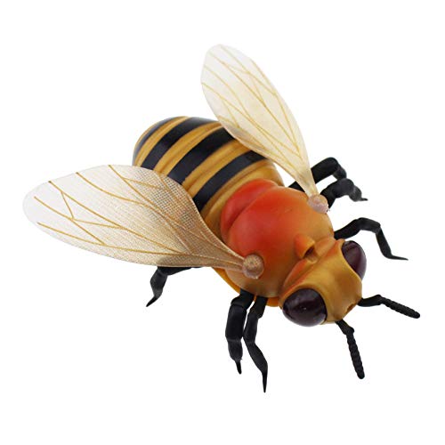 Honey Bee Toys