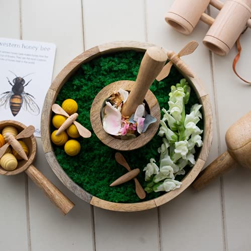 KOOKAROO Round Sensory Tray + 4 Wooden Sensory Bin Tools, Montessori  Pouring Set, Waldorf Toys, Sensory Bins for Toddlers 3-4, Sand Tray,  Montessori