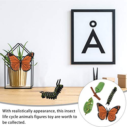 New 4Pcs Life Cycle Kit, Caterpillars to Monarchs Safariology Bug Teaching  Aids