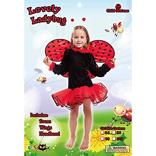 Lovely Ladybug Costume